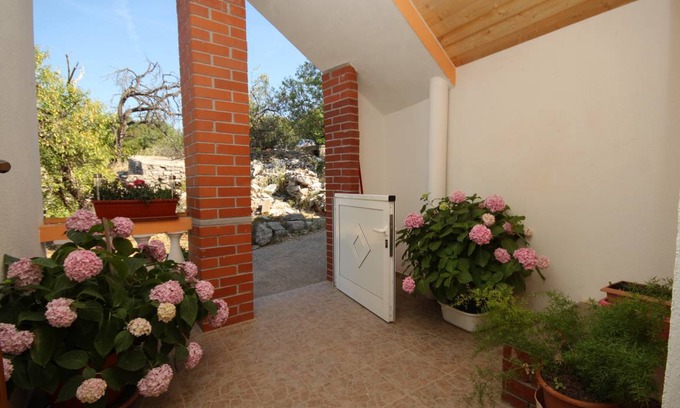 Island Dugi Otok Apartment | 40 m² Apartment ∙ 1 bedroom ∙ 3 guests
