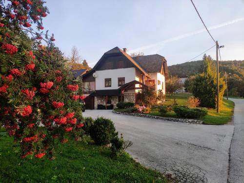 Poljanak Bed & Breakfast | 45 m² Bed and breakfast ∙ 4 guests