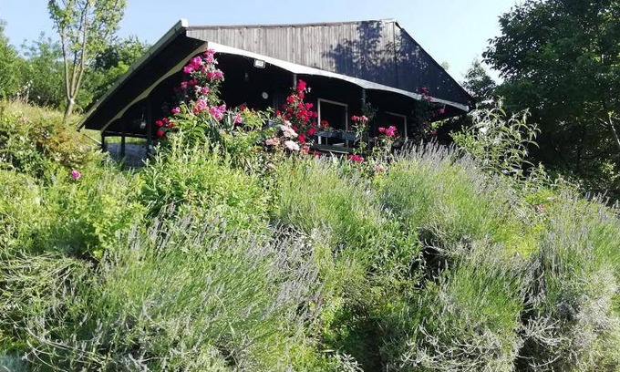 Draz House | 50 m² House ∙ 1 bedroom ∙ 3 guests