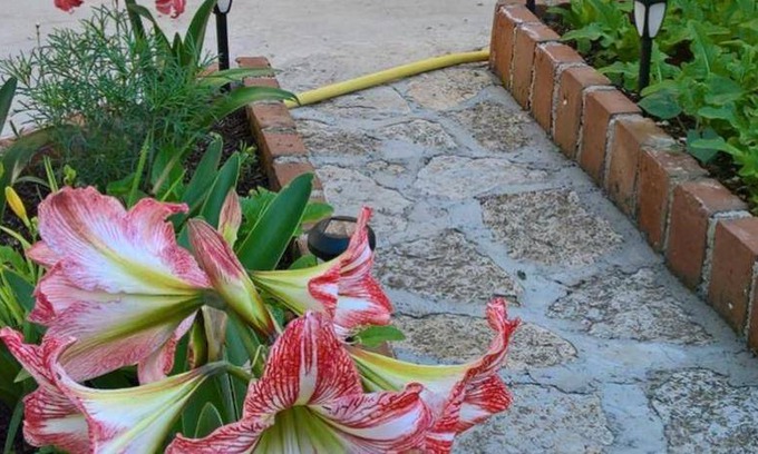 Nerezine Bed & Breakfast | 58 m² Bed and breakfast ∙ 2 bedrooms ∙ 4 guests
