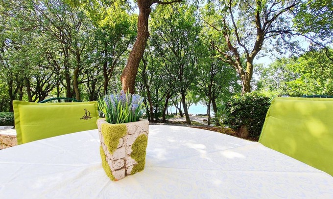 Klenovica Apartment | 60 m² Apartment ∙ 2 bedrooms ∙ 6 guests