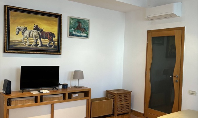 Karlovac Apartment | Apartment Centar (117541-A1) - Karlovac