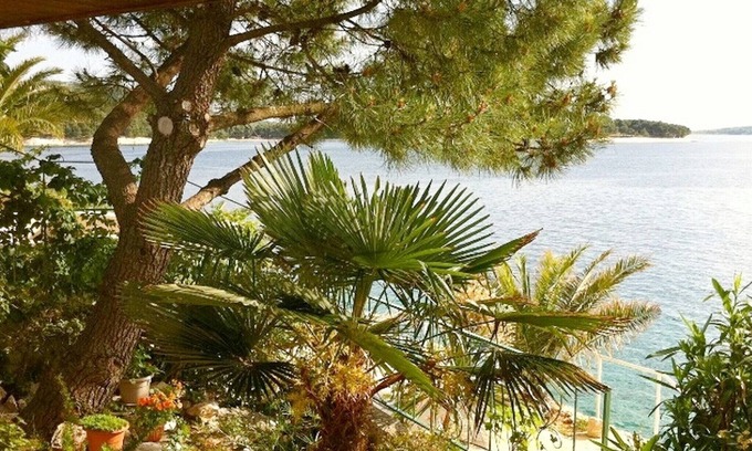 Primosten Apartment | Apartment Ina, (14363), Primošten, hr