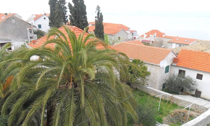 Sutivan Apartment | Apartment Liva - 60m from the sea: 6 - R8(2+1) - Sutivan, Island Brac, Croatia