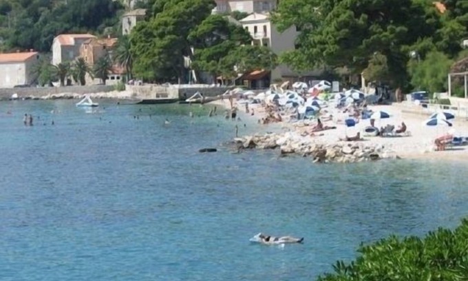 Mlini Apartment | Apartment Nikola 1 - free parking: R4(2) - Mlini, Riviera Dubrovnik, Croatia