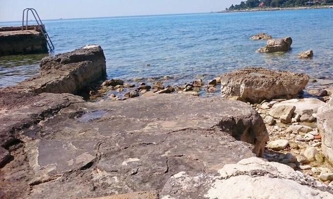 Krizine Apartment | Apartments Majda, (15046), Umag, hr