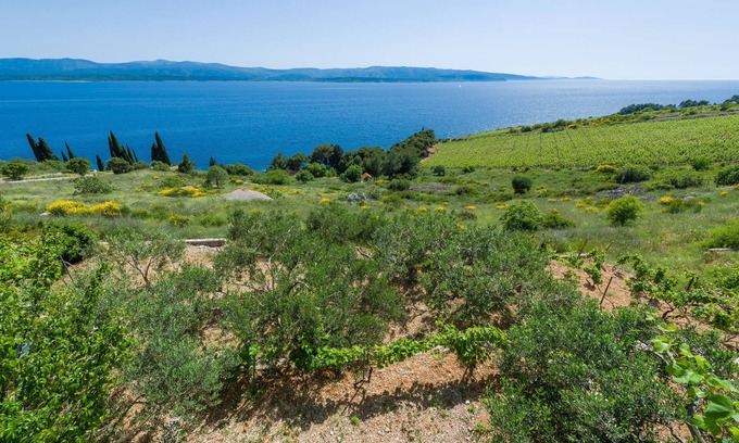 Murvica Apartment | Apartments Nada (97951-A4) - Bol - island Brac