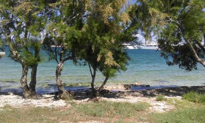 Municipality of Murter Apartment | Holiday apartment Betina for 1 - 5 persons with 2 bedrooms - Holiday apartment