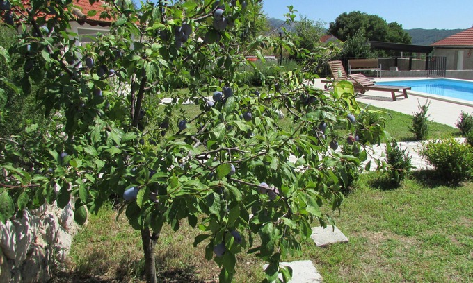 Donja Banda House | Holiday Home Stari Zoganj