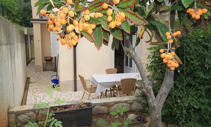 Nerezine Apartment | One bedroom apartment with terrace Nerezine, Lošinj (A-2518-c)