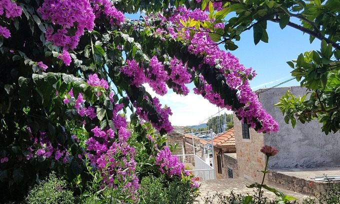 Vrboska Apartment | Rooms Roza