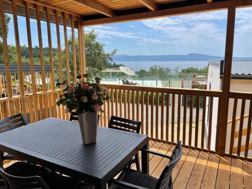 Selce Other | SELCE mobile home IWI