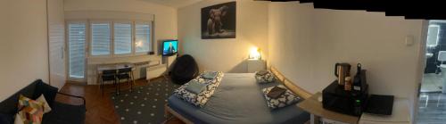 Varazdin Hostel | Sibejdo 3&4