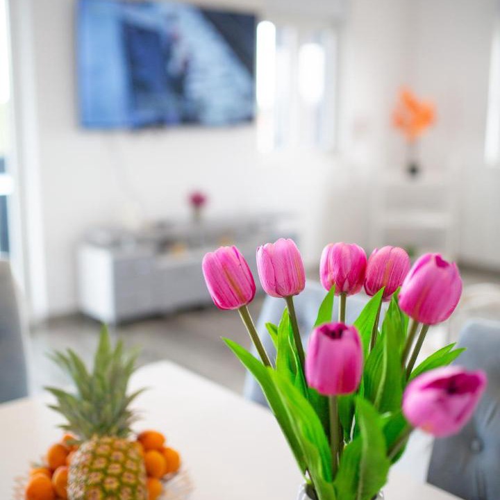 Trn Apartment | Villa La Vita, Ljubuški