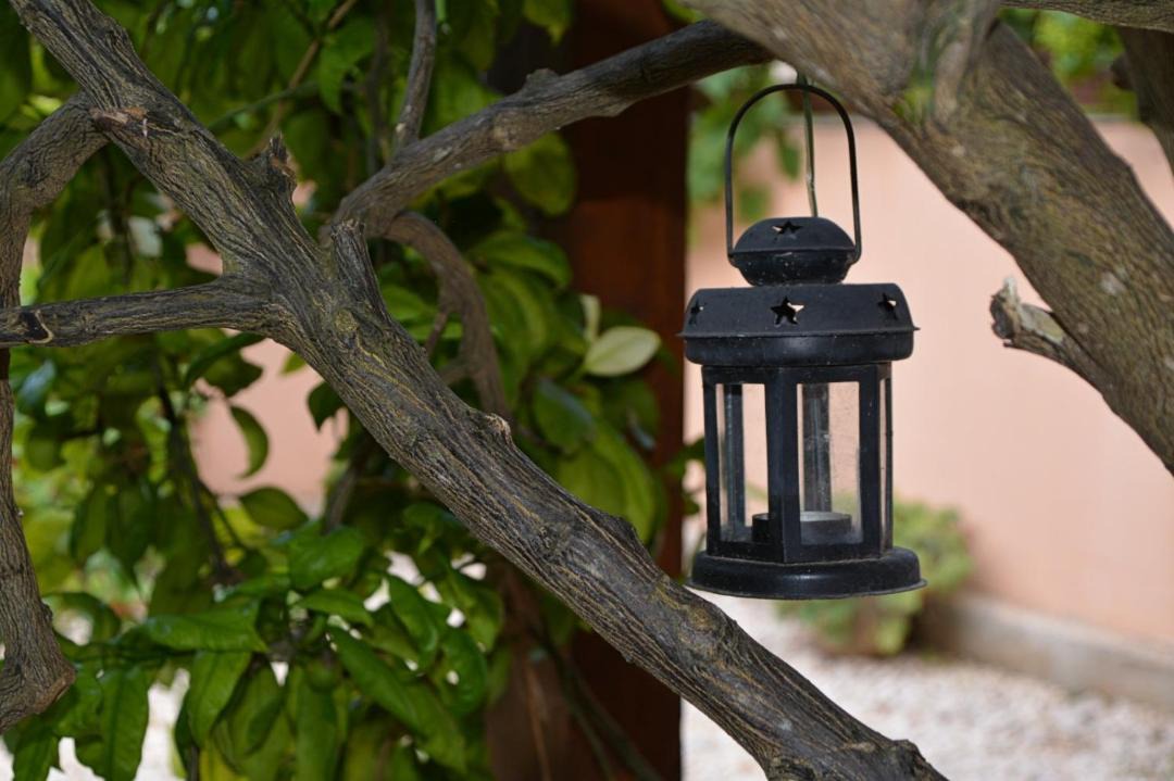 Nevidane House | Apartments and rooms by the sea Nevidjane, Pasman - 11902
