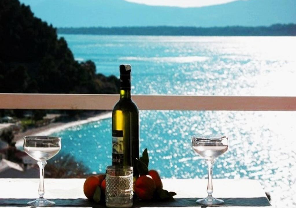 Zivogosce House | Borovik Guest House