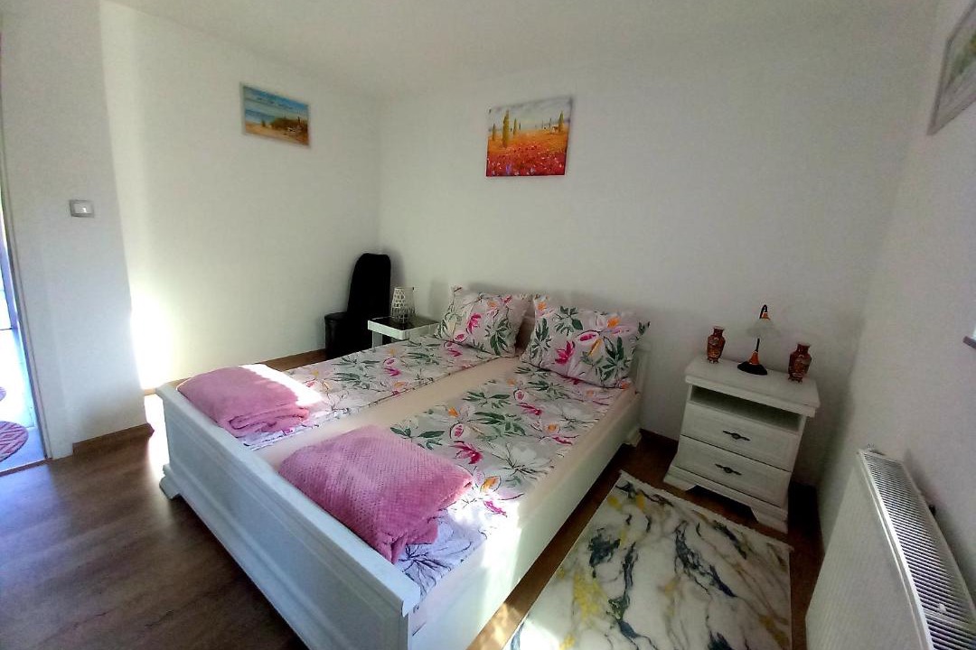 Mali Radic Apartment | Apartman Leon