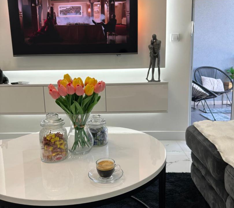 Modrica Apartment | Apartment Aristos