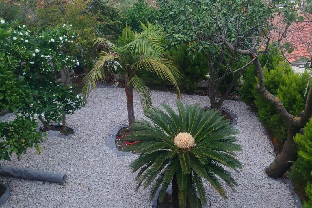 Molunat Apartment | Villa Peragi - Triple Room with Balcony and Private External Bathroom