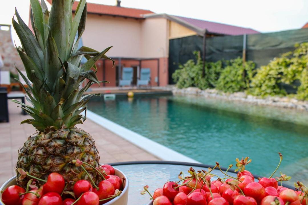 Zavala House | Villa Bali - Aladinici