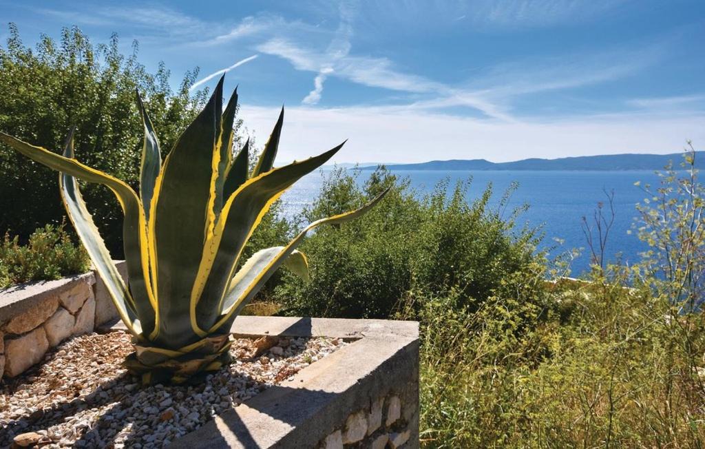 Pisak Apartment | Villa Anči