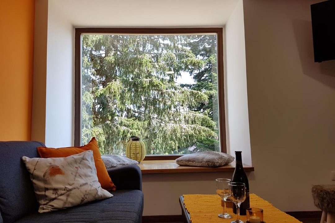 Jahorina Villa | Sunshine Dreams Villa Jahorina