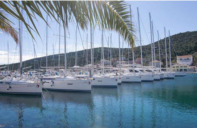 Marina Apartment | Villa Cruiser