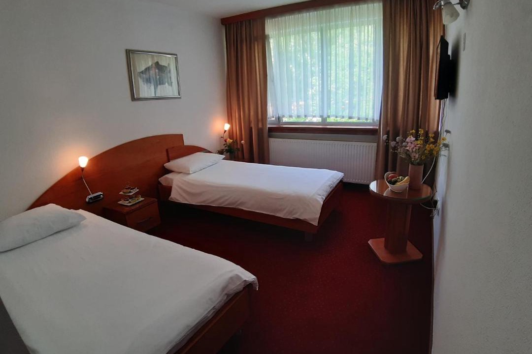 Mali Radic Hotel | Park Hotel