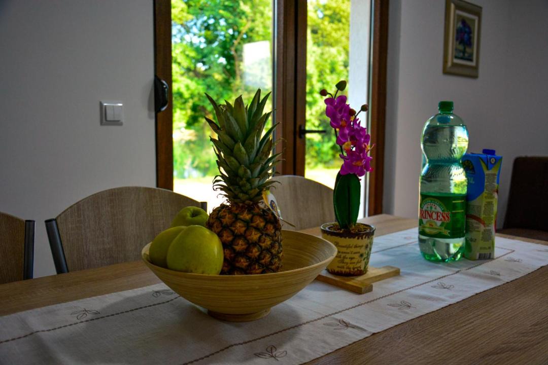 Bihac Villa | Villa Sabina