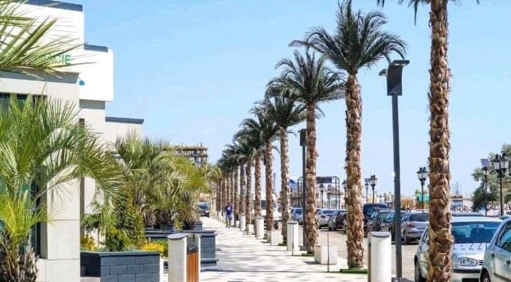 Photo of Others in Mamaia-Sat