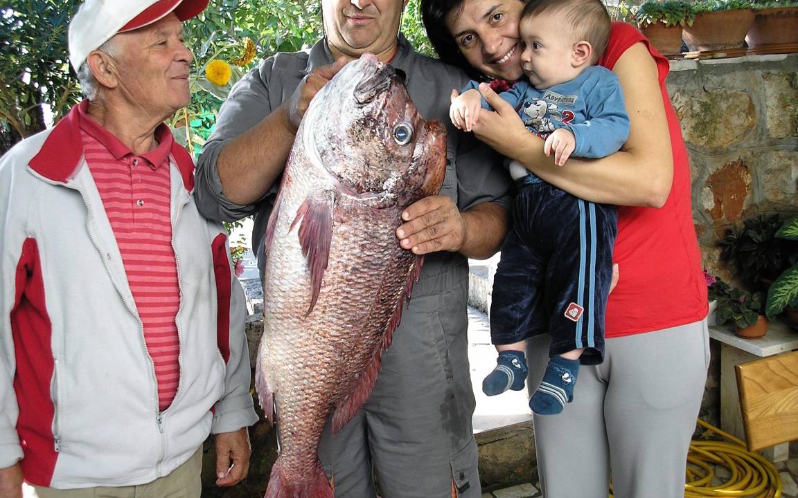 Photo of Others in Trstenik