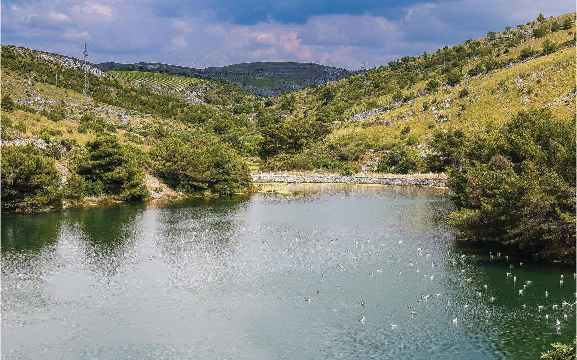 Photo of Others in Zaboric