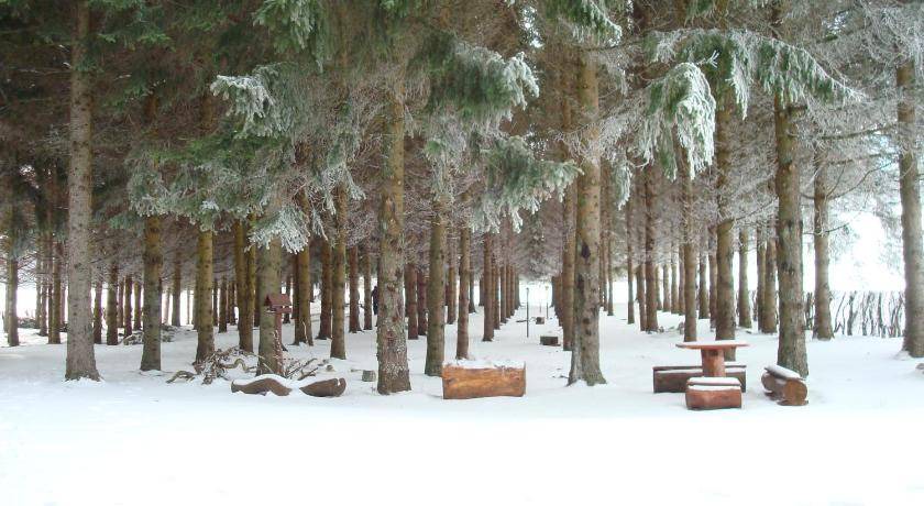 Photo of Others in Vrhovine