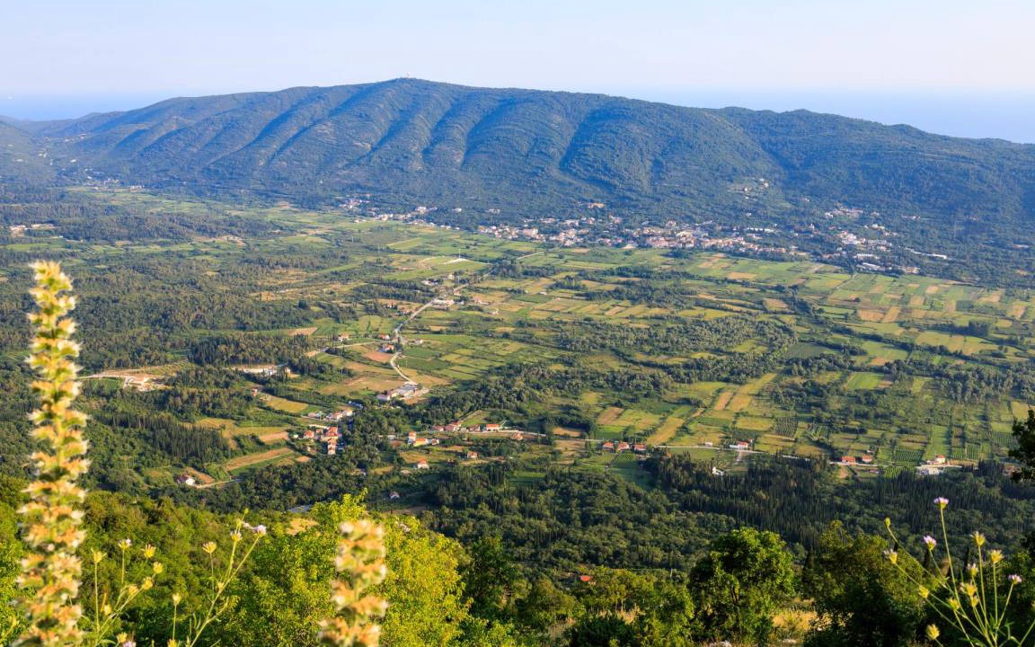 Photo of Others in Mihanici