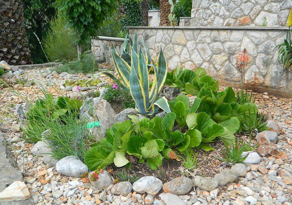 Photo of Outdoor in Vrboska