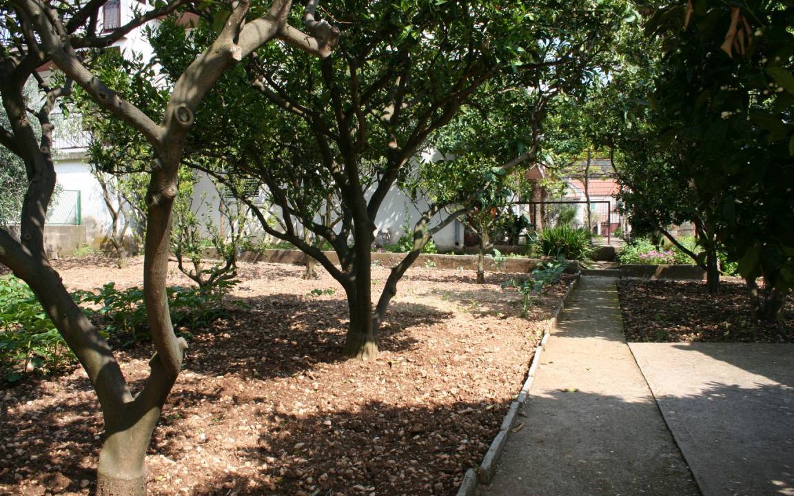 Photo of Others in Gradac