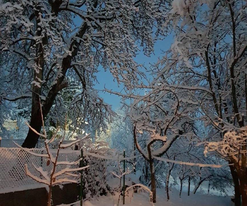 Photo of Others in Brod Moravice