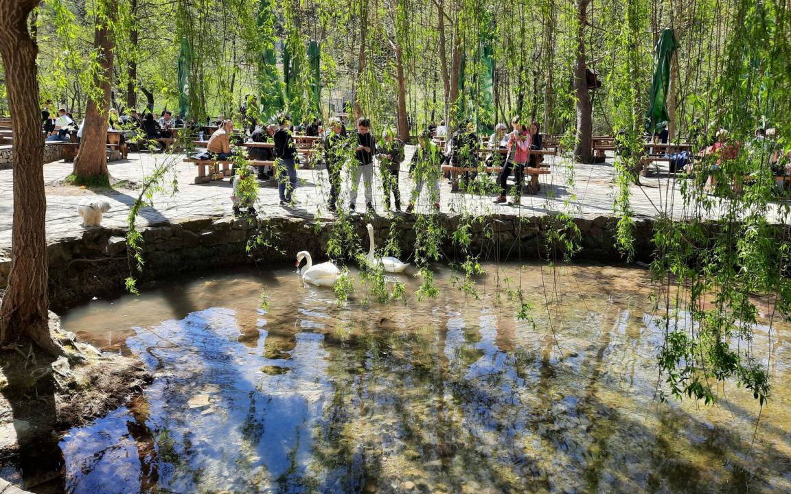 Photo of Others in Grebastica