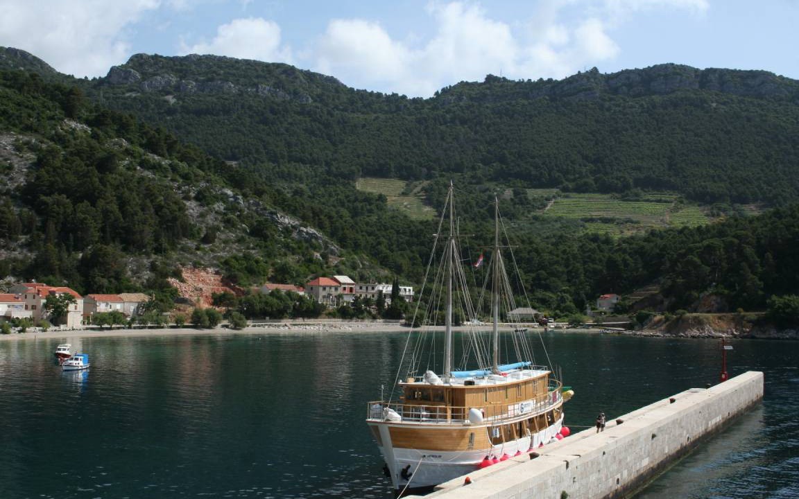 Photo of Others in Trstenik