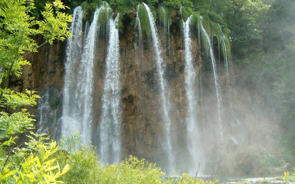 Photo of Others in Rakovica
