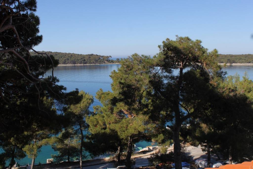 Photo of Others in Cove Murtar