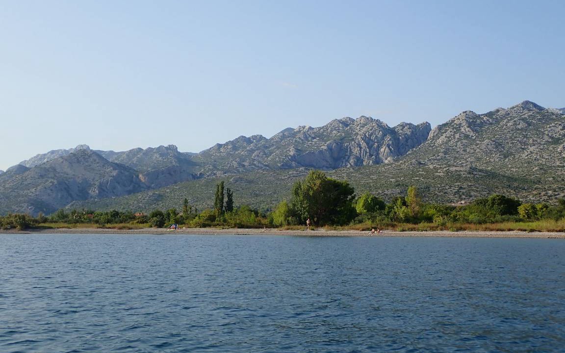 Photo of Others in Seline