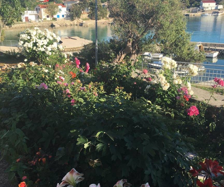 Photo of Others in Jakisnica