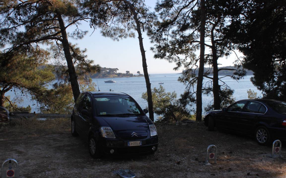 Photo of Others in Cove Murtar