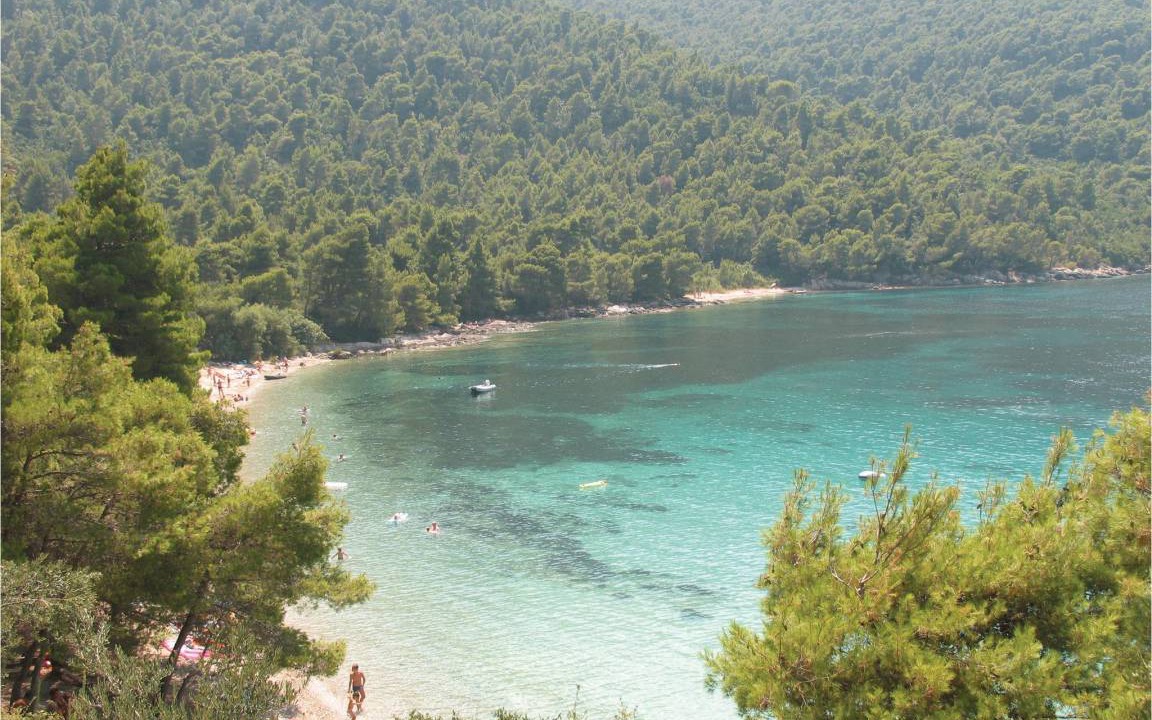 Photo of Others in Broce