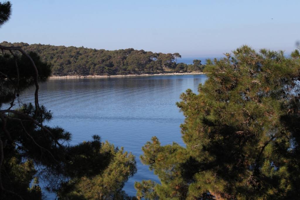 Photo of Others in Cove Murtar
