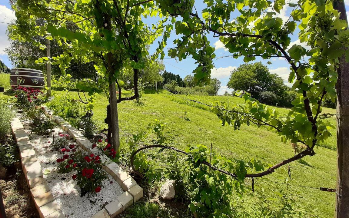 Photo of Others in Sveti Juraj na Bregu