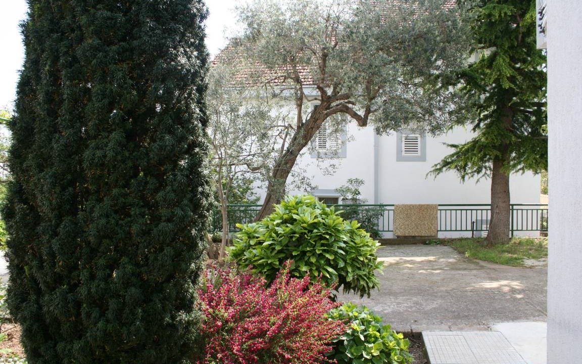 Photo of Others in Gradac