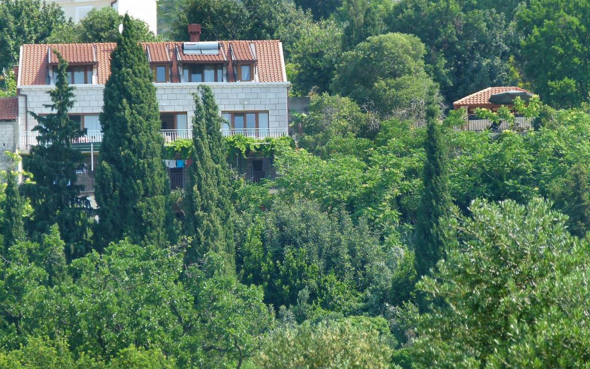 Photo of Others in Orasac