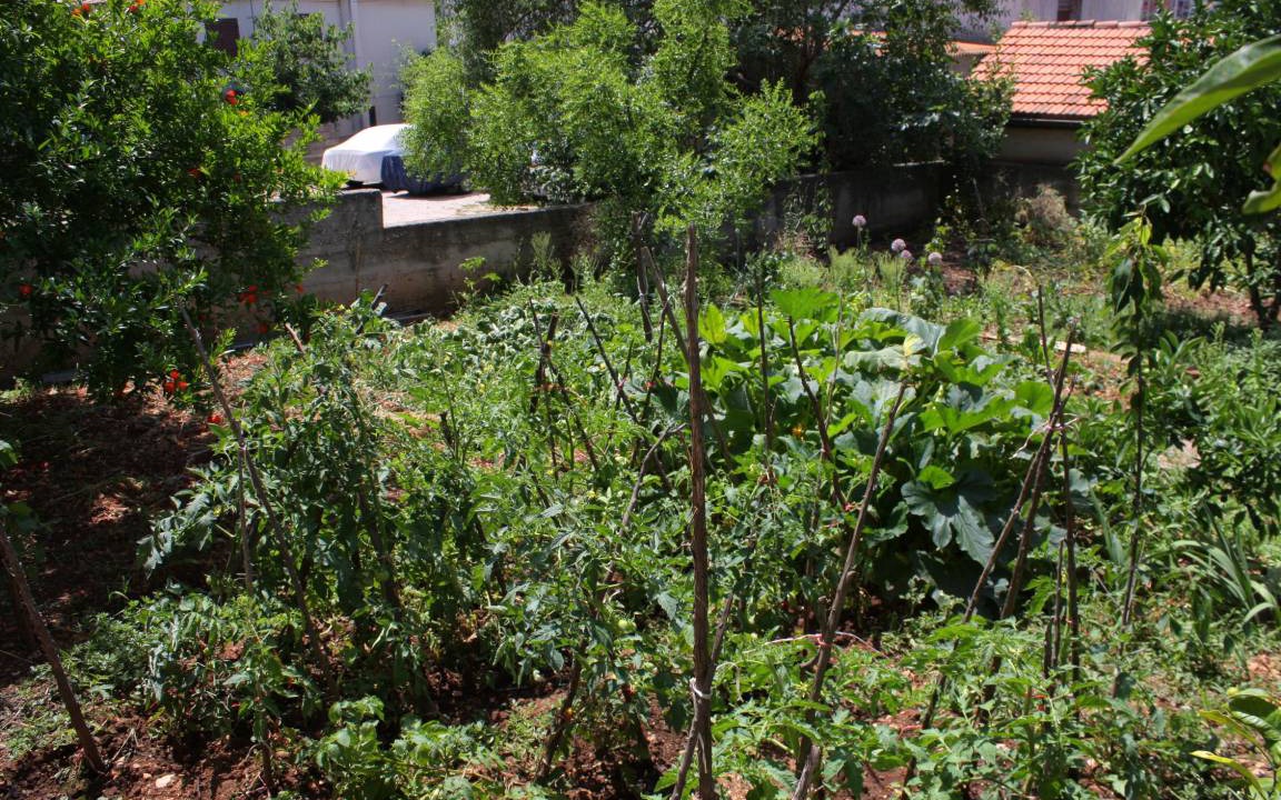 Photo of Outdoor in Jezera